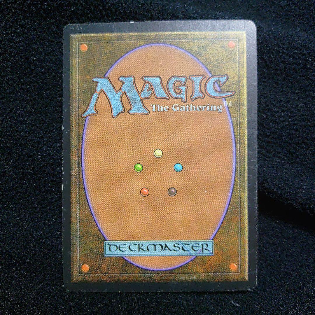 Shallow Grave (浅すぎる墓穴) 英語