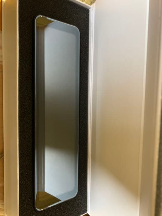 嘉山 作 純銀製 竹笹 額装 純銀竹図 銀彫刻 貴金属画 金属工芸 壁掛け 割引