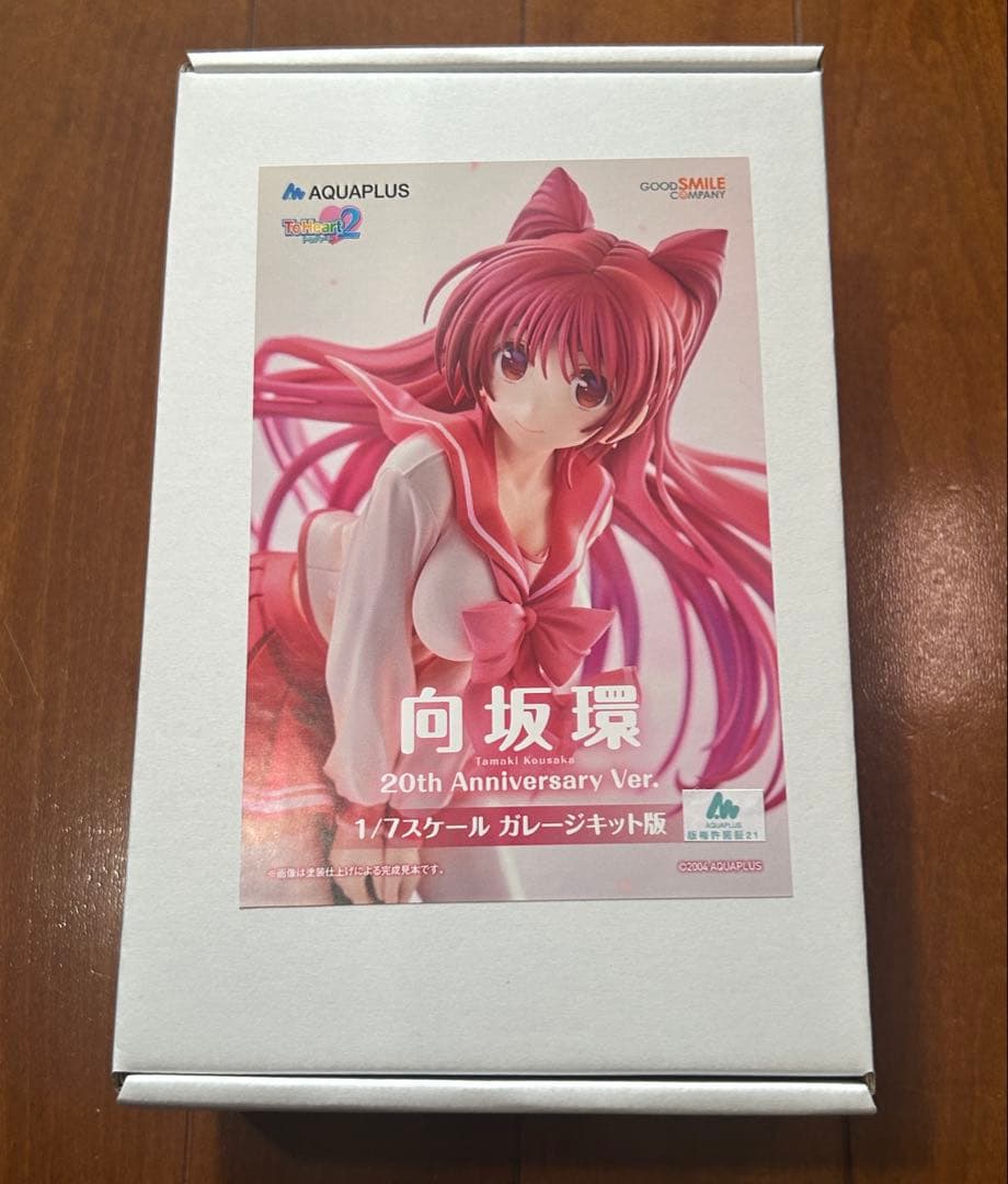 向坂環 20th Anniversary Ver. ガレージキット となモ7