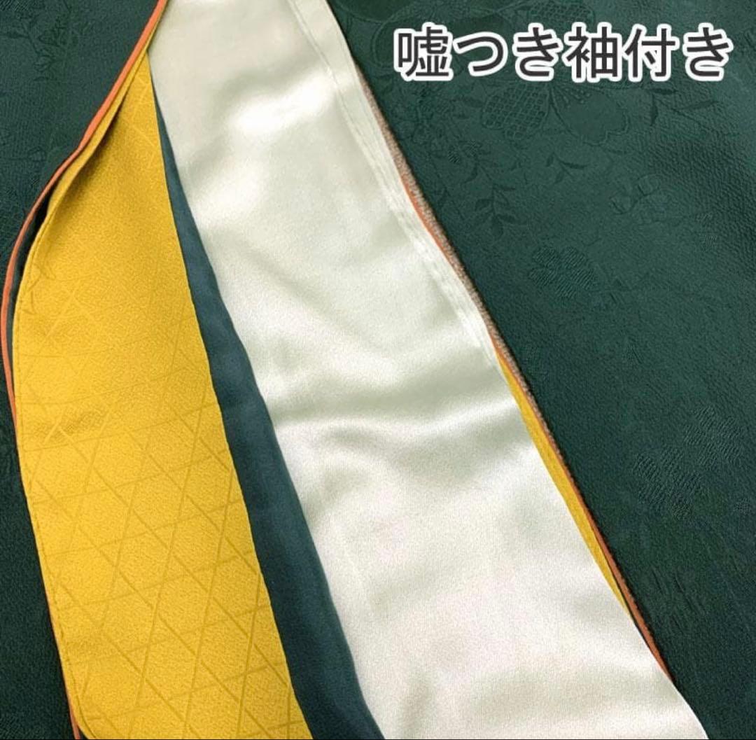 509z15.509y14.小物〇色無地 中振袖 桜 地紋 深緑 嘘つき袖付き〇