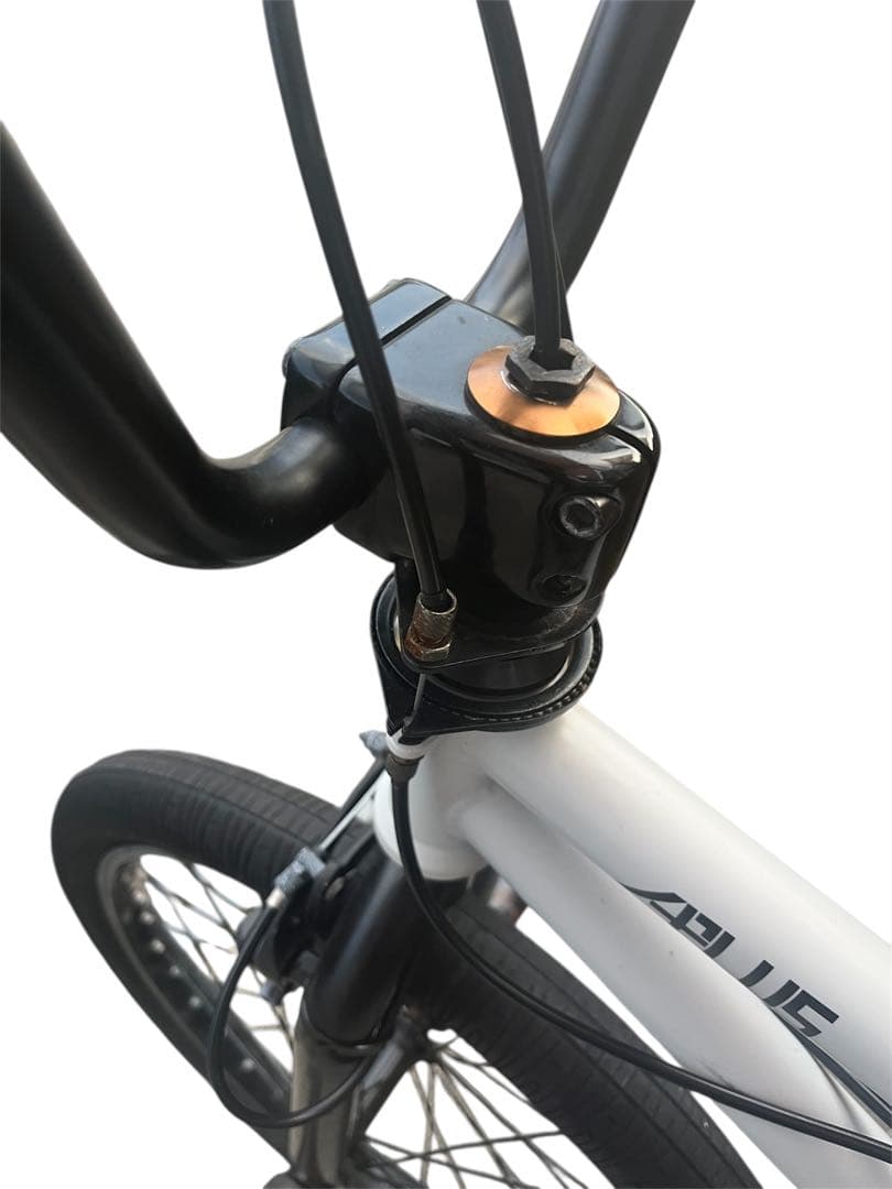 アーレスバイク アプラス 20inch フラットランド