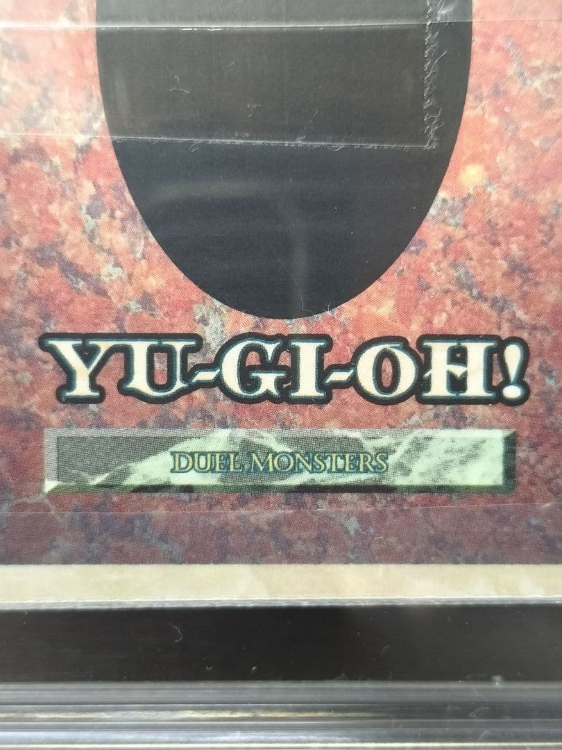 ツ*ム様 未開封　ホーリーナイトドラゴン　聖夜竜