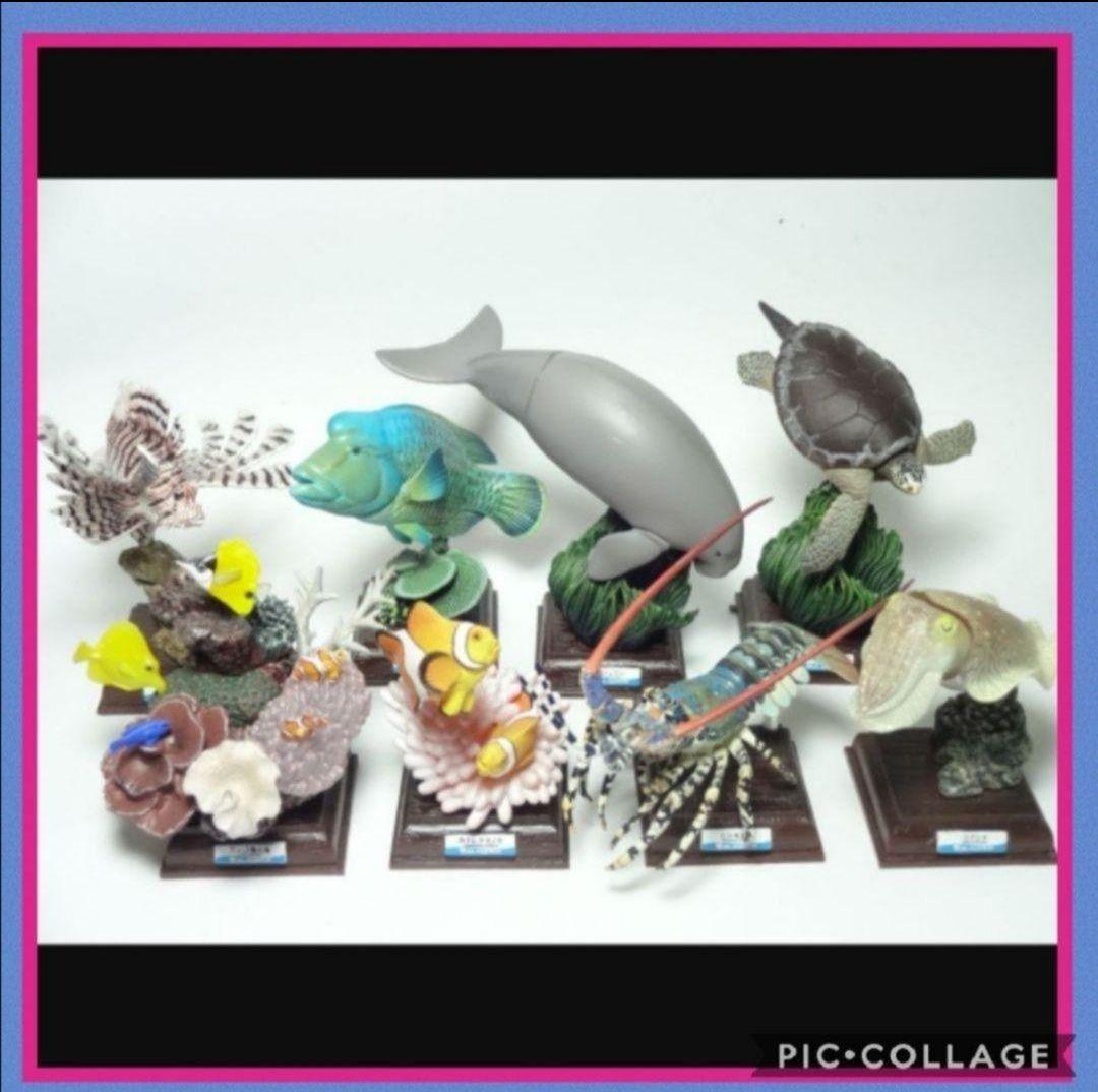 フィギュア鳥羽水族館立体コレクション