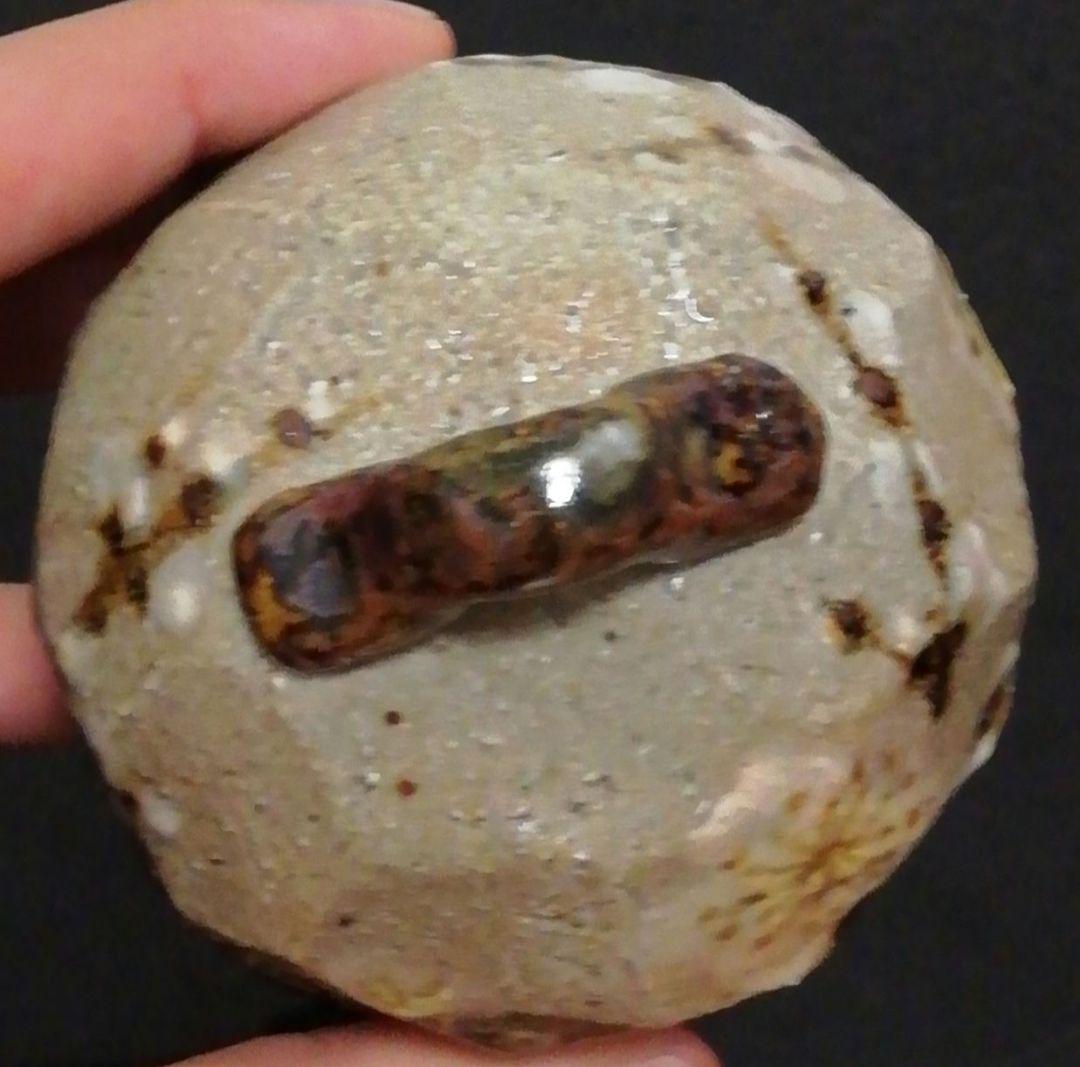 Romi様専用 田端志音作 乾山 花図 香合 共箱 栞付 茶道具