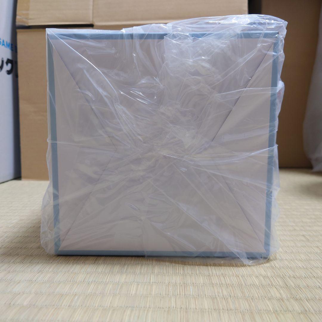 雪泉 ビキニ フィギュア