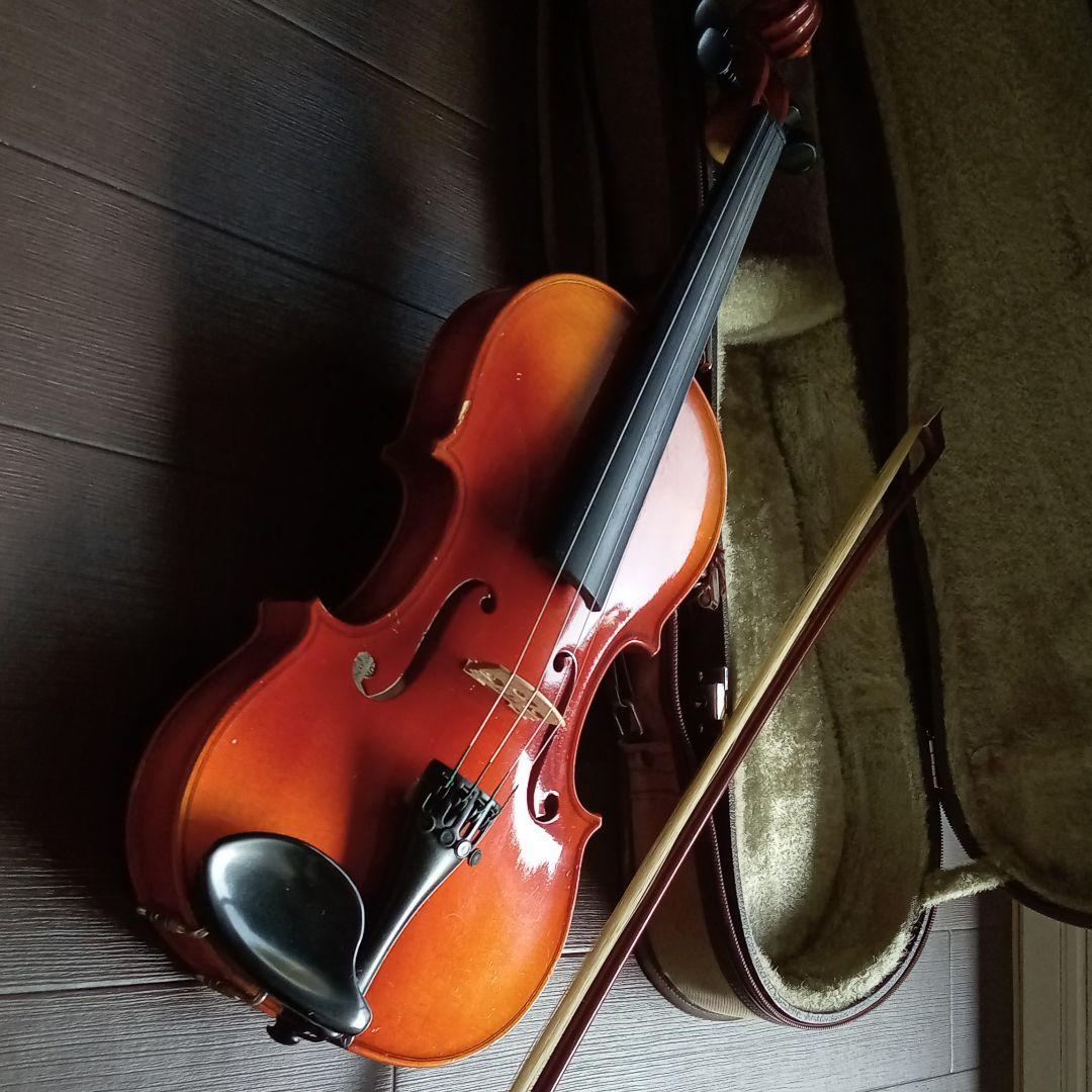 タ*坊様 #Burny #LSD-55N-EGA #イグアナバースト #ケース