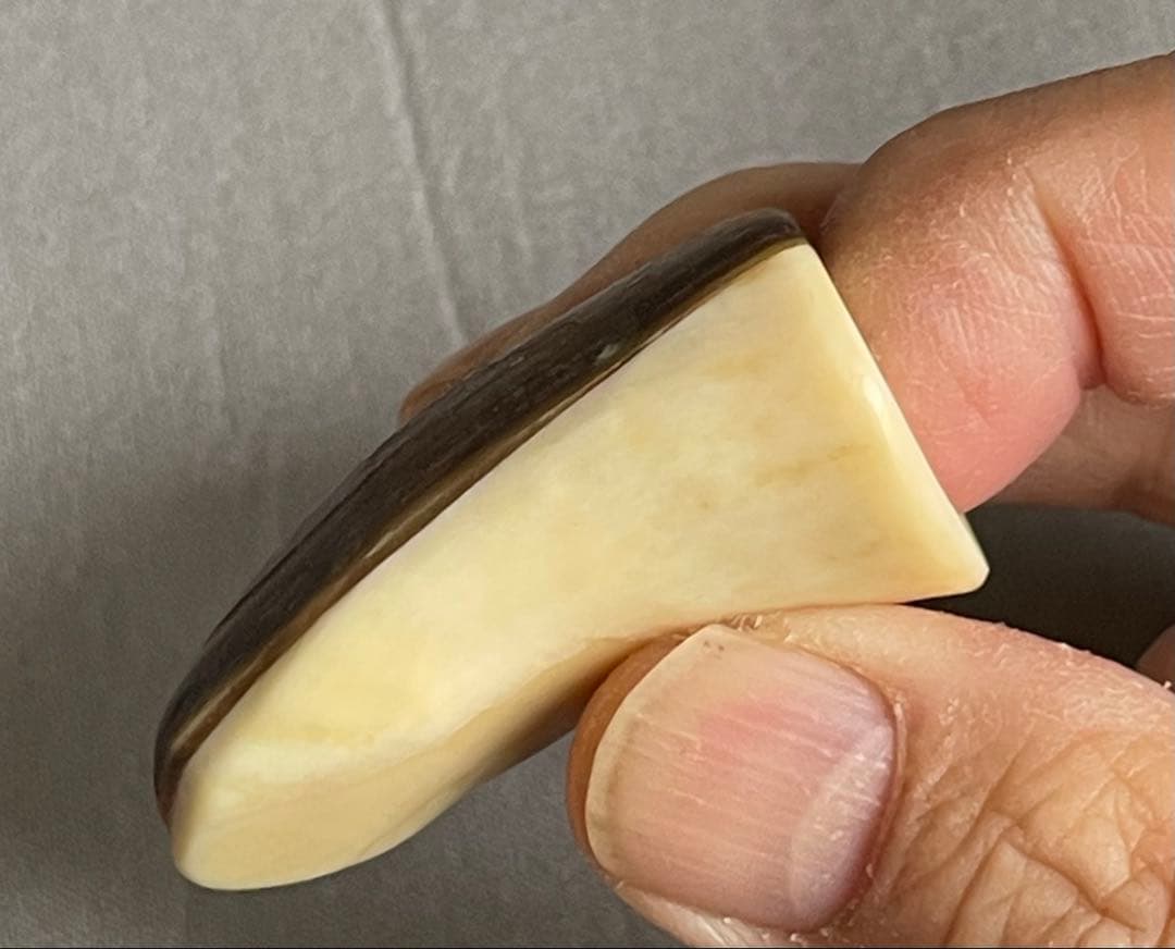 三線用 爪 鯨髭＋鯨歯 Bタイプ 最終出品分