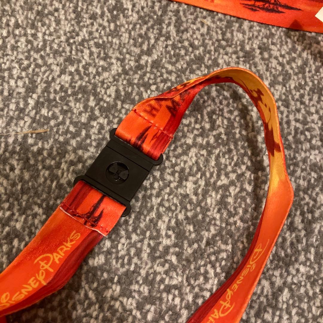 ライオンキング WDWワールド限定ティモンのボトル2個セット