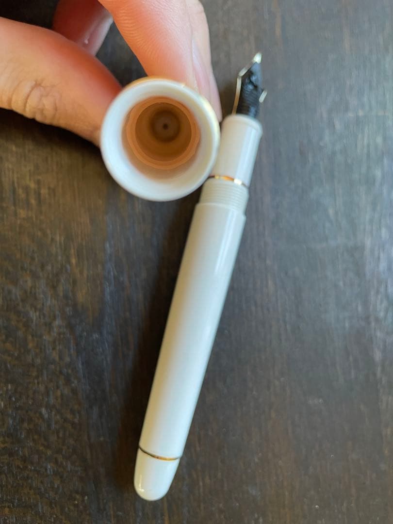 プラチナ万年筆　#3776 センチュリー