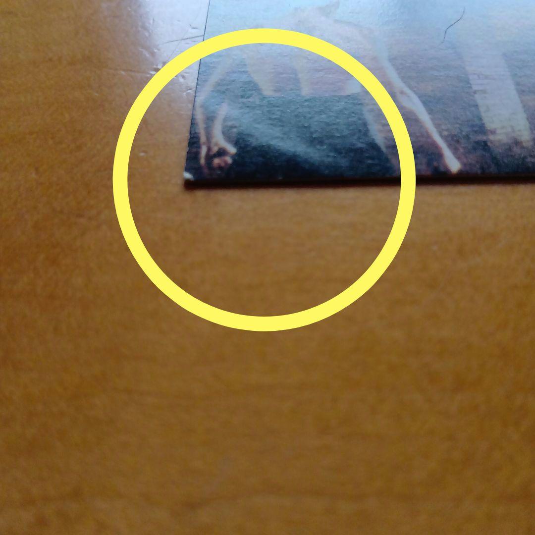 ブルース・リー ドラゴン ／ミニカード＆アルバム／山勝／昭和レトロ／まとめ売り