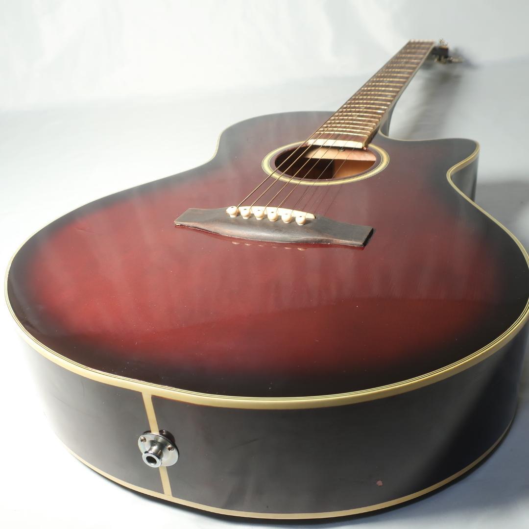 Pro Martin EAW-350 WRS エレアコ ギター ケース付 - メルカリ