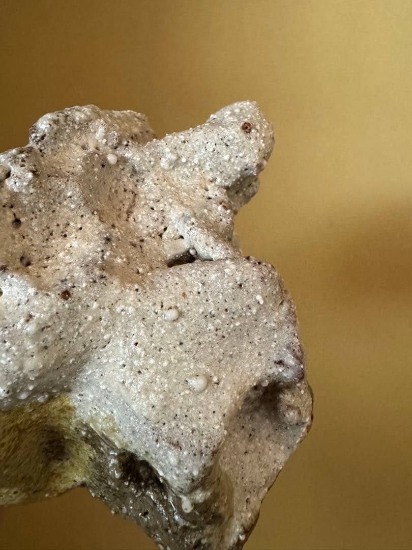 Simon Manoha 茶碗 フランス人作家