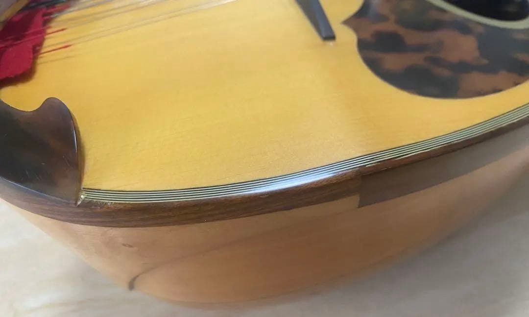 お値下げ中　カラーチェCalace マンドリン　クラシコBClassicoB