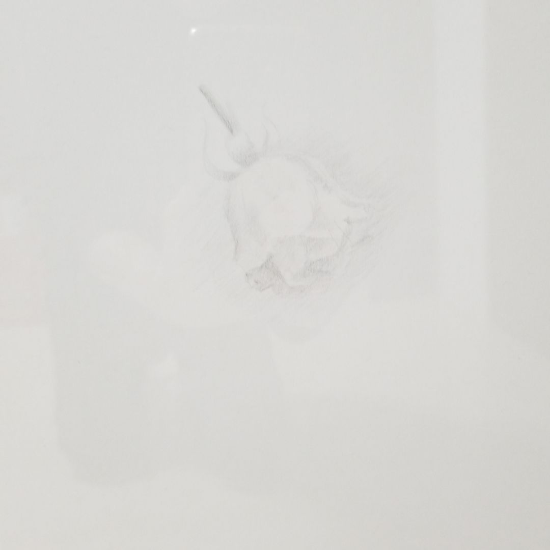 魚谷洋デッサン