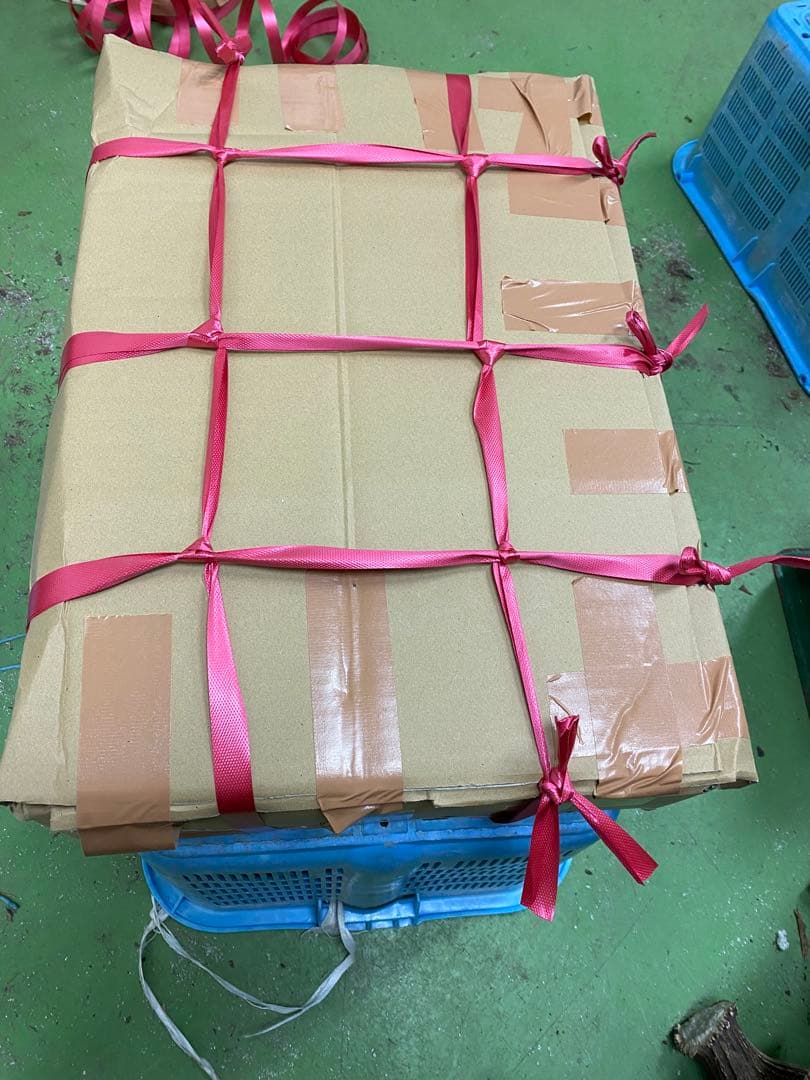 鹿の角　鹿のツノ　鹿角　鹿ツノ　蝦夷鹿の角　バンドメイド　クラフト　素材