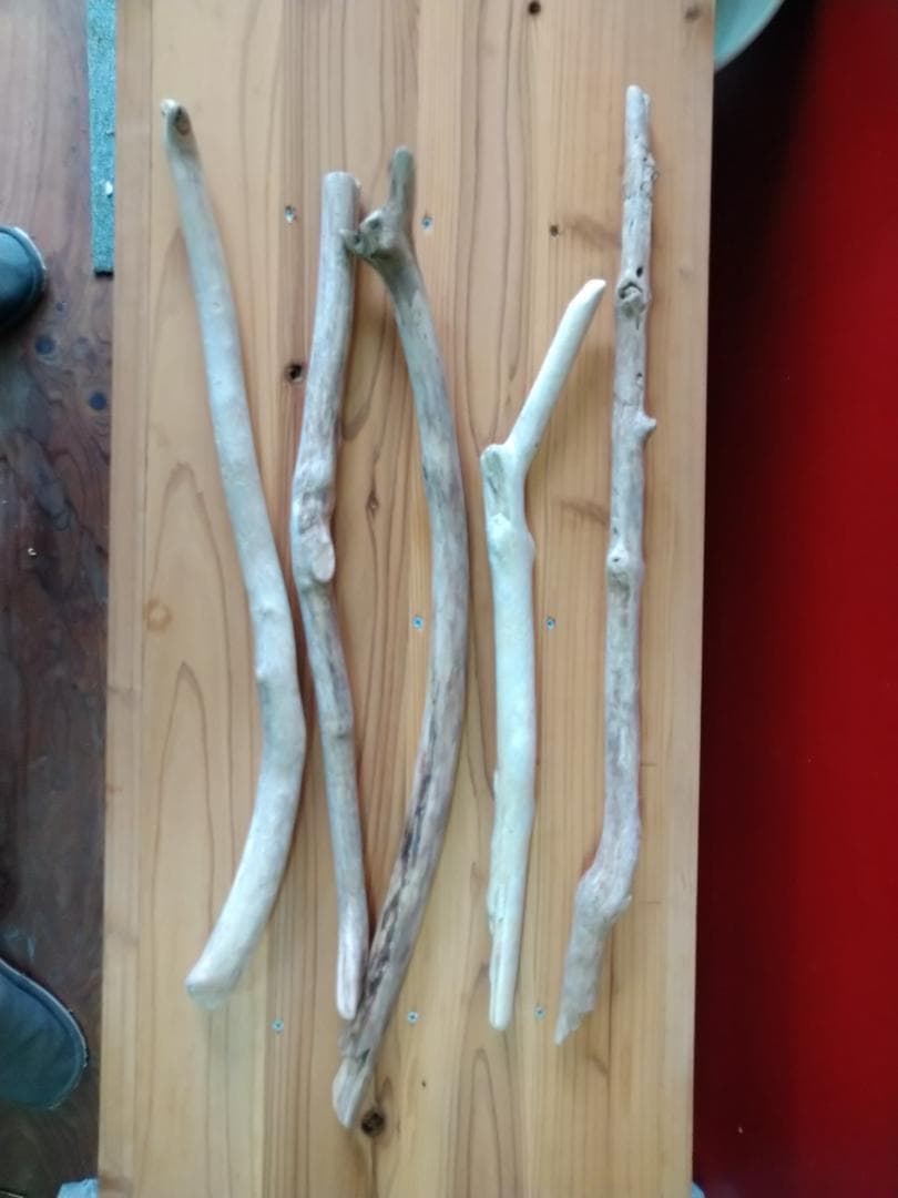 アク抜き済み 流木（水槽用流木）｜レイアウト用品｜熱帯魚