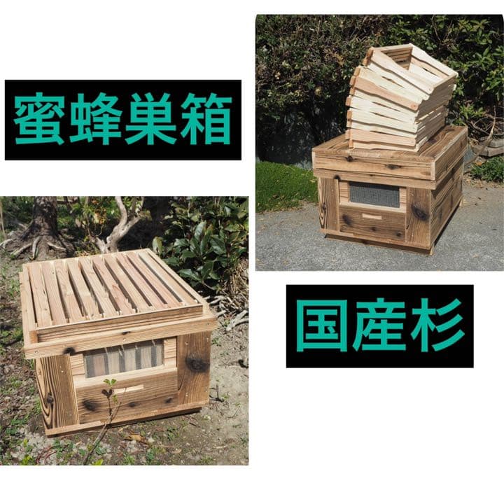 乃木坂46 生写真 ボーダー 京都パルスプラザ コンプ フルコンプ