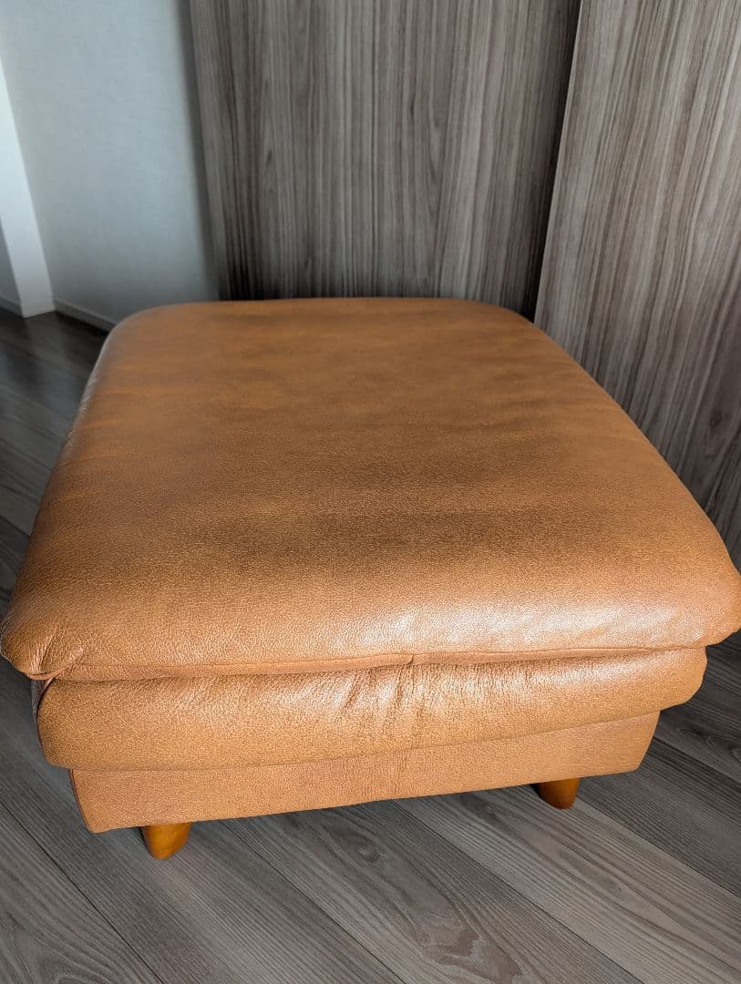 かねたや オットマン　オシリス　SP IT108 イタリア製総革 2024年購入