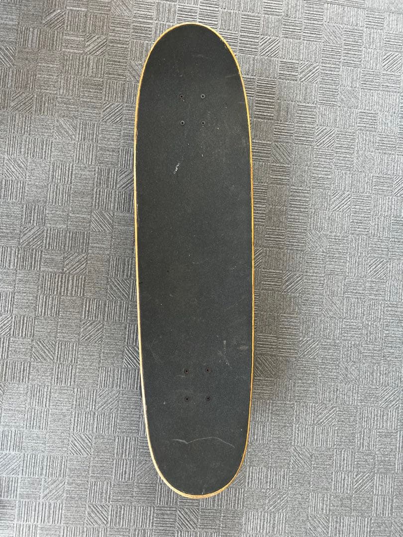 CARVER カーバー スケートボード VENICE