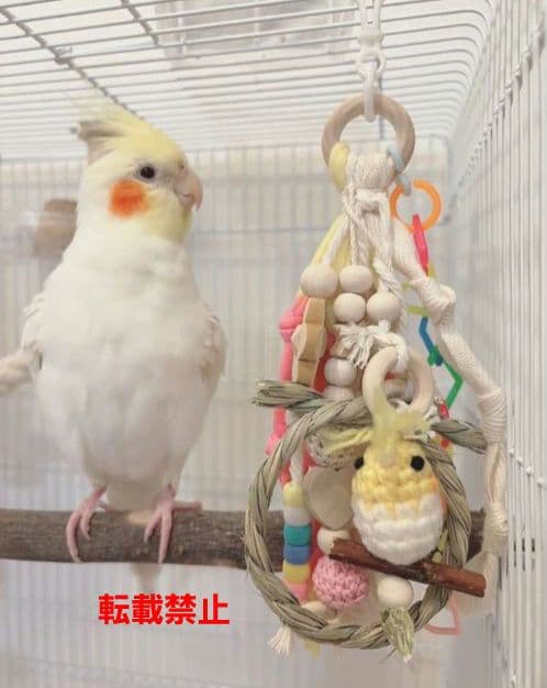 V67　ハミハミ吊り下げおもちゃ　文鳥　ことり　インコ　バードトイ 楽天市場】インコ おもちゃ バードトイ 鳥おもちゃ 原木 吊り下げ