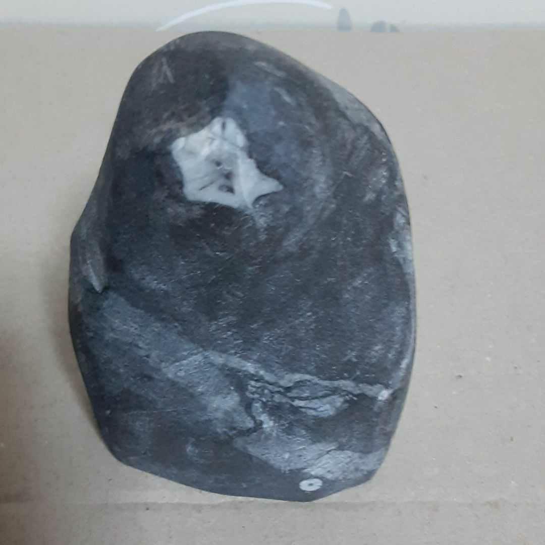 門司の梅花石 2個 (値下げしました！)