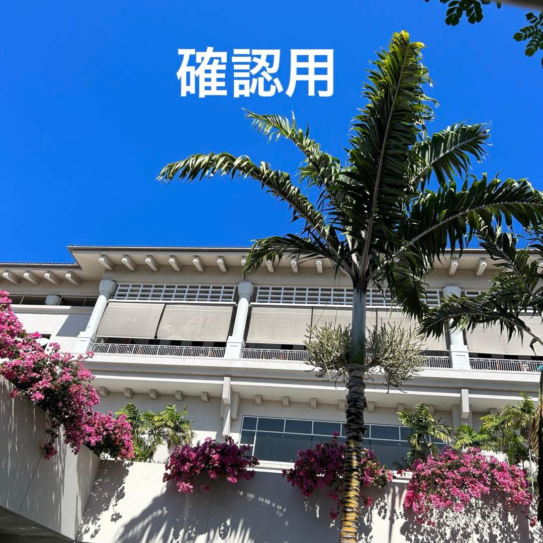 emine︎✿★ハンドメイドパーツ★かぎ針編み♪ミニ麦わら帽子