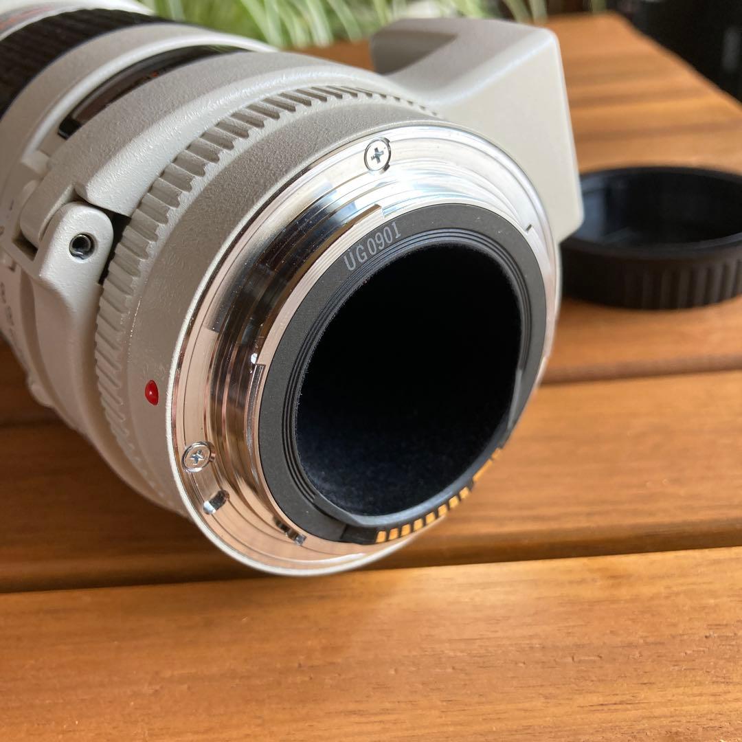 C anon EF300㎜ F4L USM 手ブレ補正機構なし