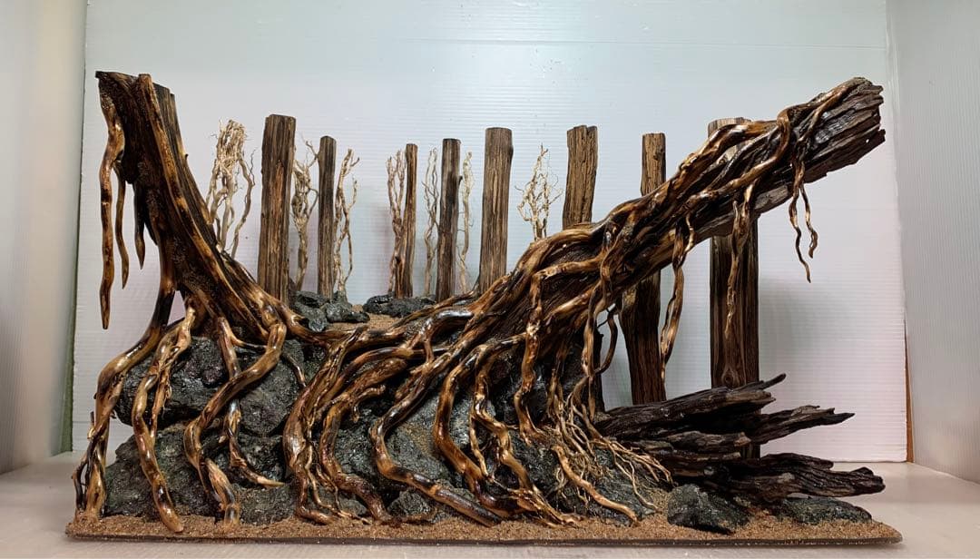 爬虫類ゲー ジ。水槽。水生植物。水槽用流木。流木 アクアリウム盆栽流木