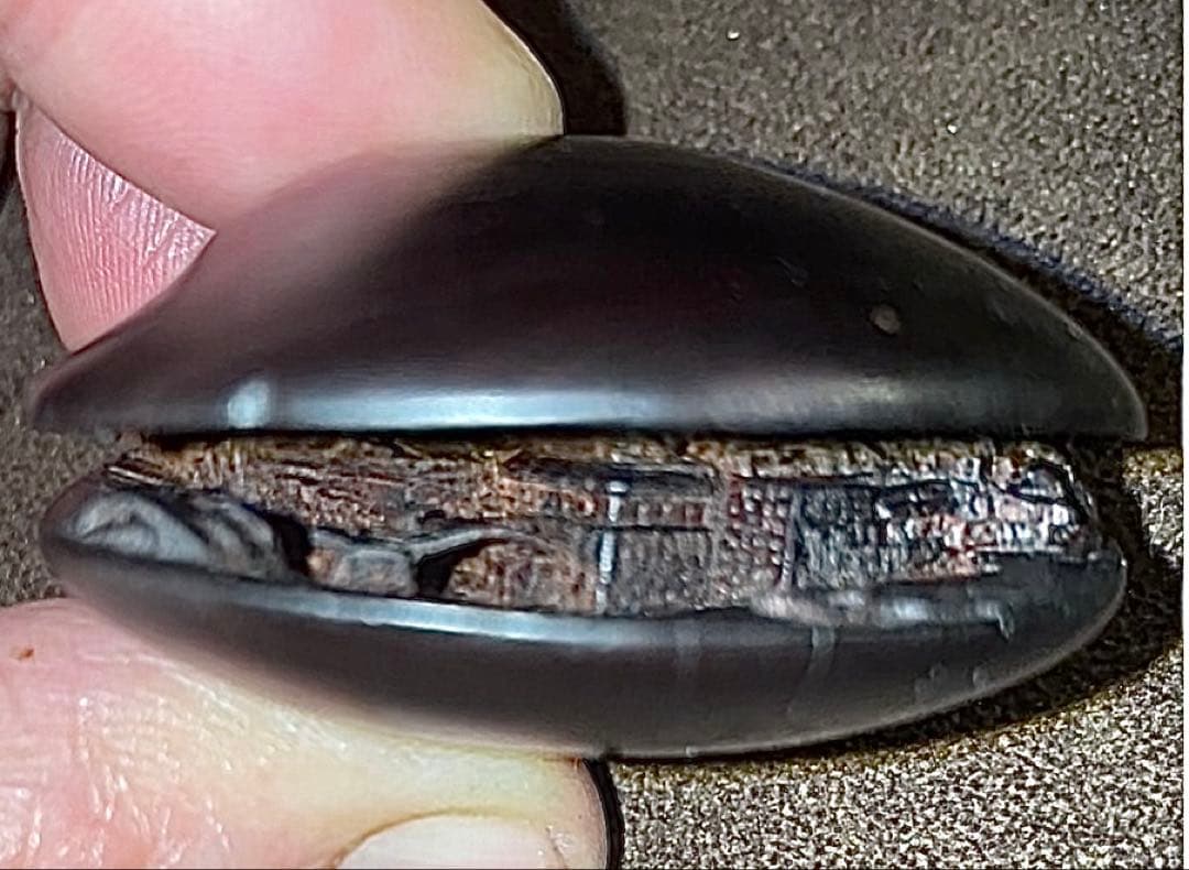 ⚫️歳末セール⚫️ 名工 玉光銘 細密彫刻 蛤根付 木製