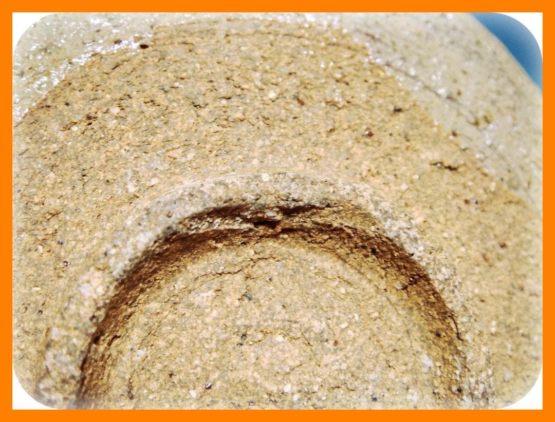 606『唐津 オモダカ 小皿』 /骨董品 古美術 古道具 アンティーク