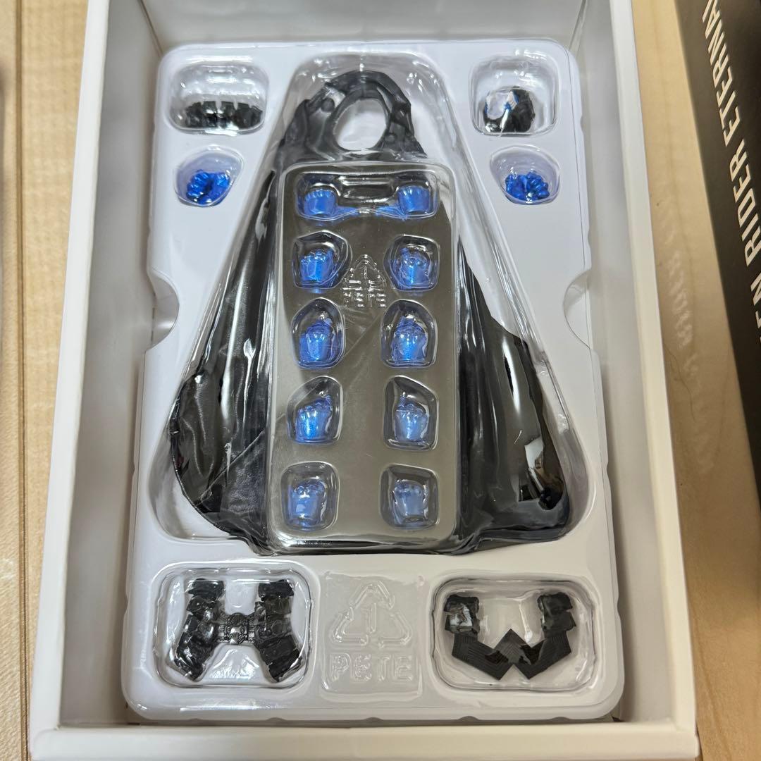 S.H.Figuarts フィギュアーツ 真骨頂 仮面ライダーエターナル