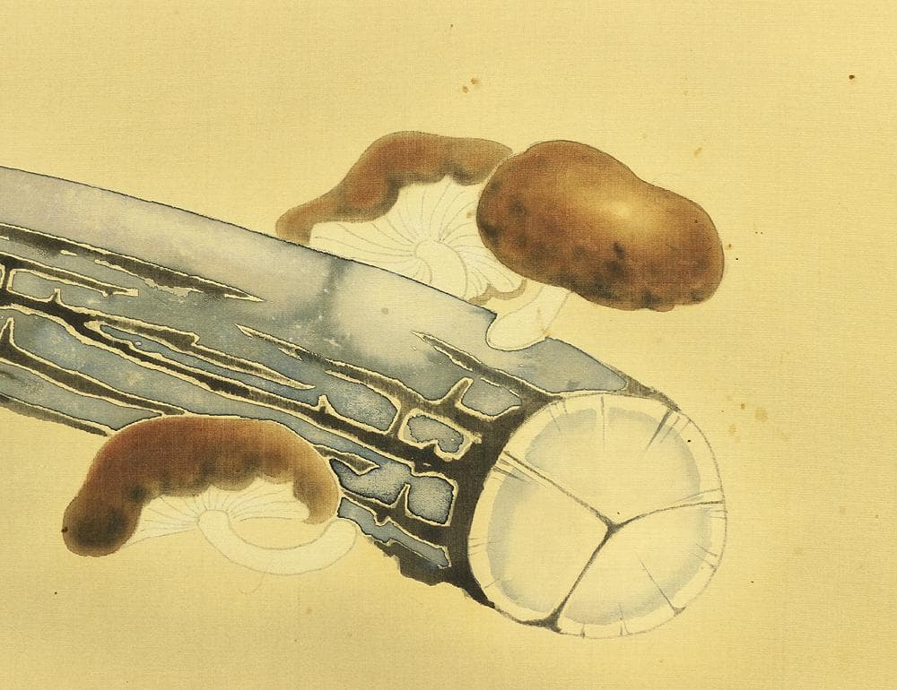 岡田錬石 1904-1995 東京 蔦谷龍岬師事「鴬に茸」掛軸 肉筆 絹本