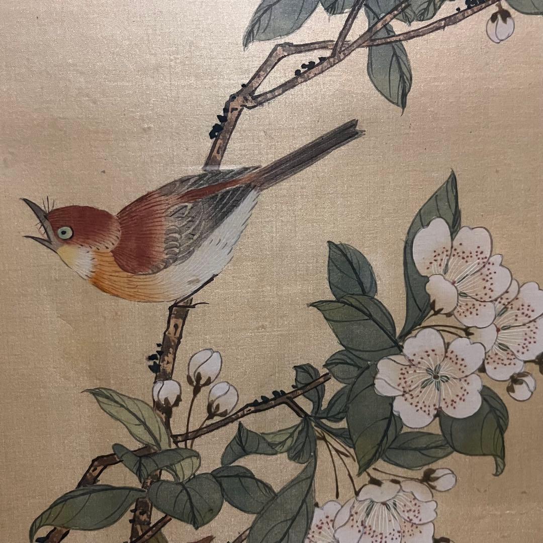 中国絵画　花鳥画