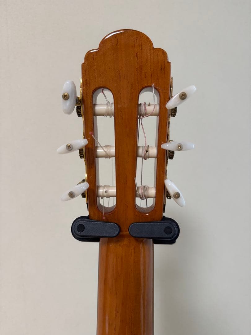 アリア Basic Flamenco A-100F (アコースティックギター) 価格比較