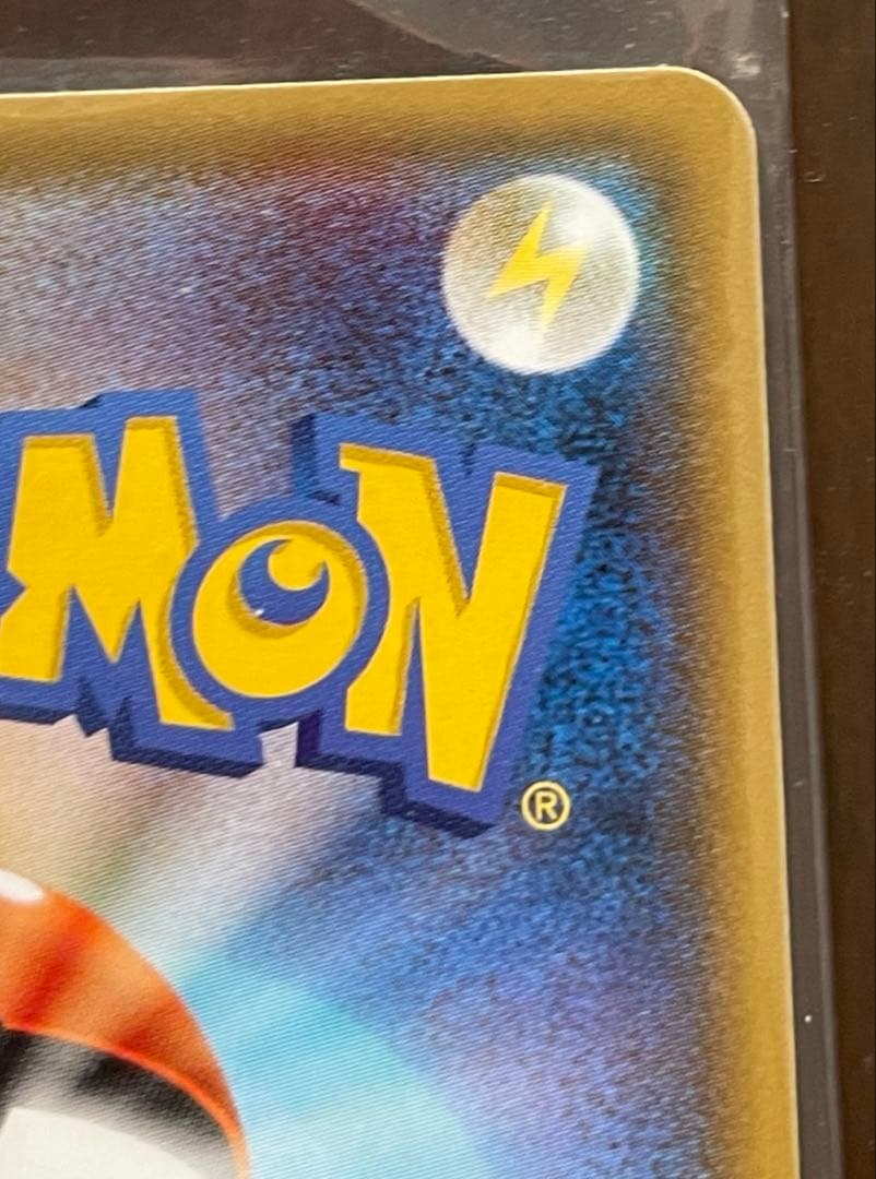 ポンチョを着たイーブイ　シャワーズ　あんしん鑑定選択可