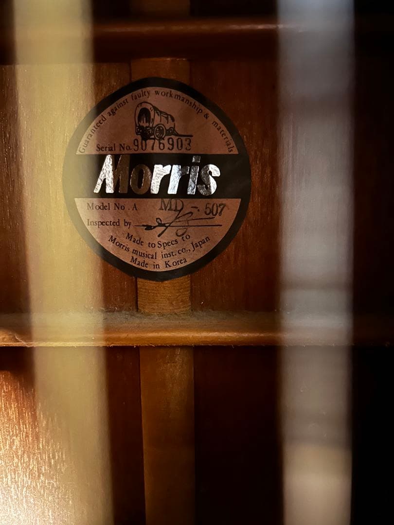 Morris MD-507 アコースティックギター