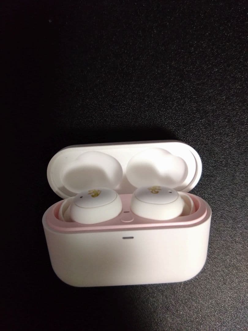 その他 ZE500 for ASMR Patra White