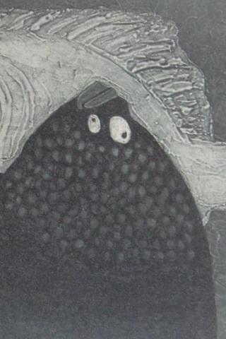 斎藤清、「凝視」、希少な画集の額装画、オーダーマット付・日本製新品額入り