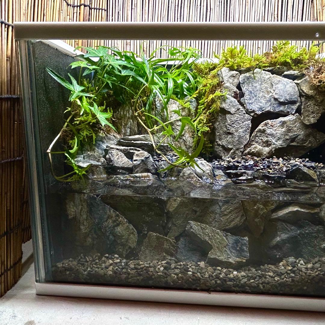 水の流れる滝テラリウム水槽 苔テラリウム 水の流れる滝テラリウム水槽