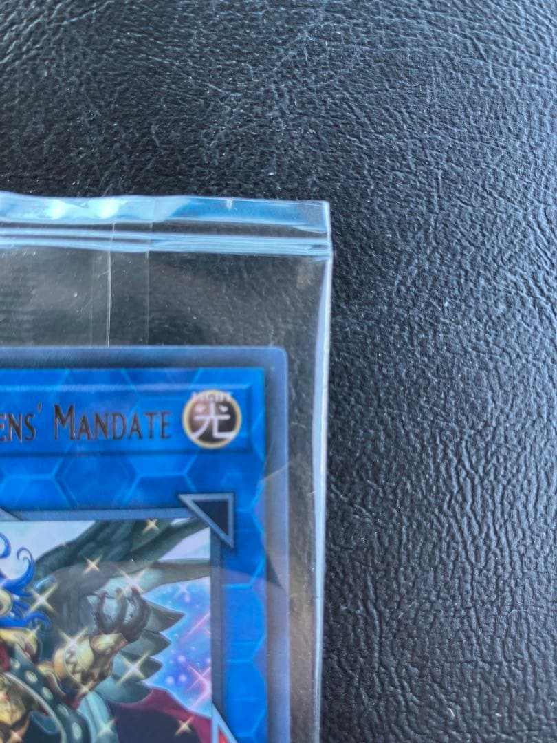 Kaiser Eagle, the Heavens Mandate 未開封