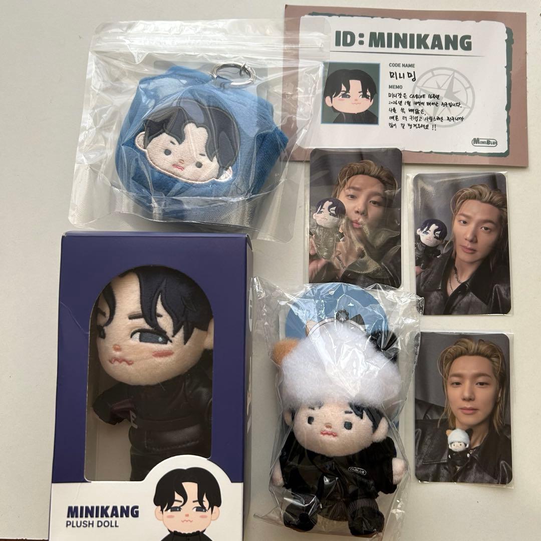 CNBLUE MINIBULE MINIYOUG ヨンファ PUSH DOLL CNBLUE MINIBLUE