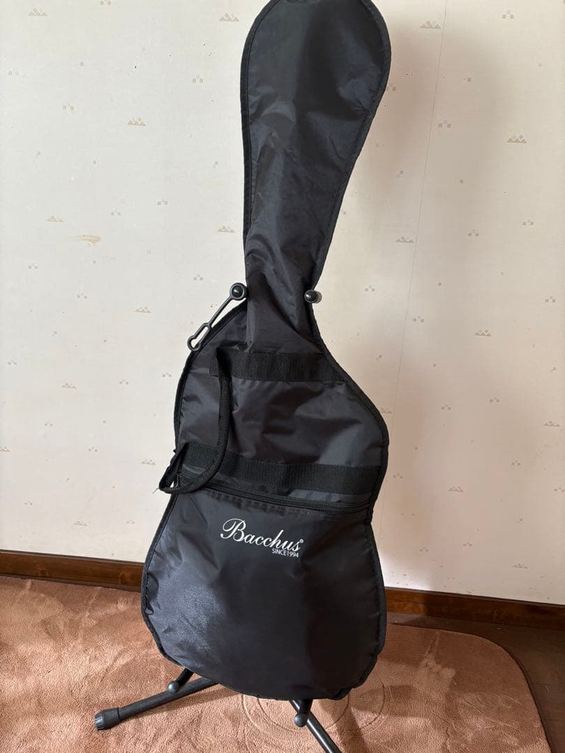 テレキャスタータイプ エレキギター