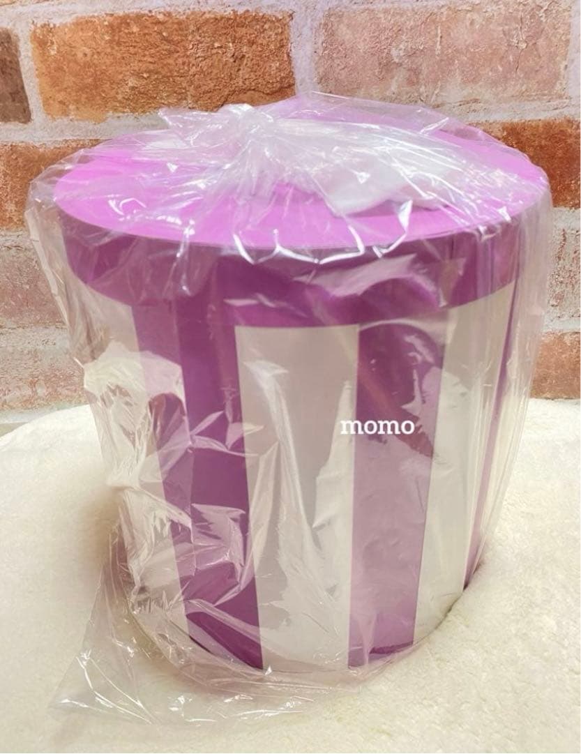 レディ ぬいぐるみ ボックス入り LADY AND THE TRAMP 70TH