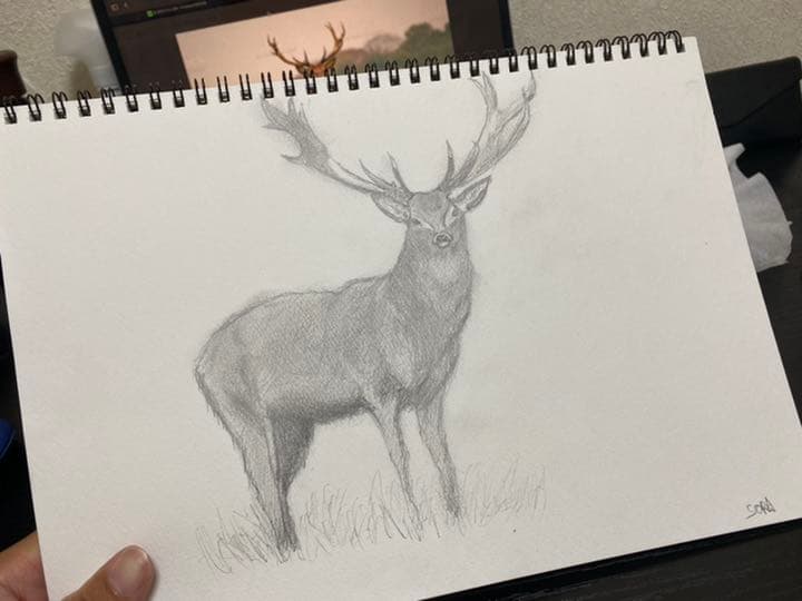 鹿の絵