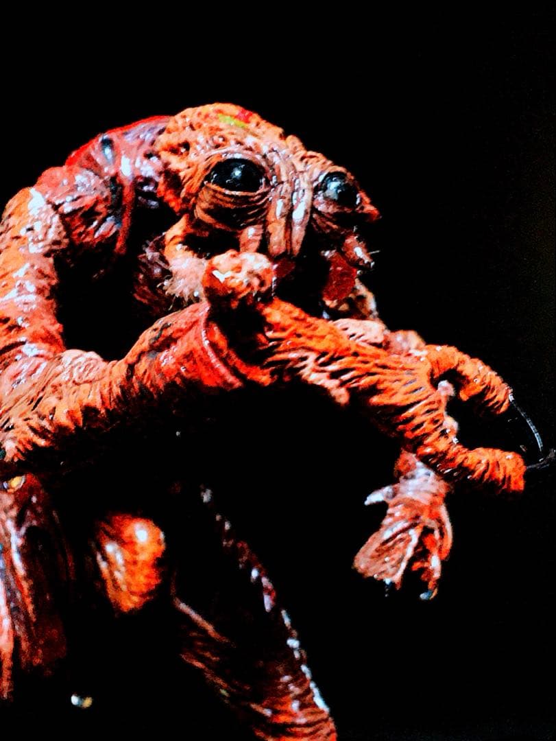 映画 THE FLY ザ・フライ ハエ男 フィギュア マクファーレントイズ