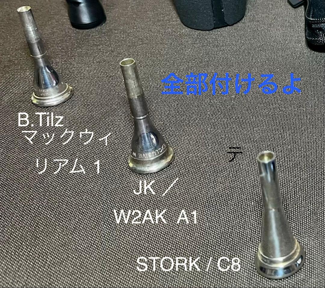 c.s.willson cs 231 GB フルダブルホルン