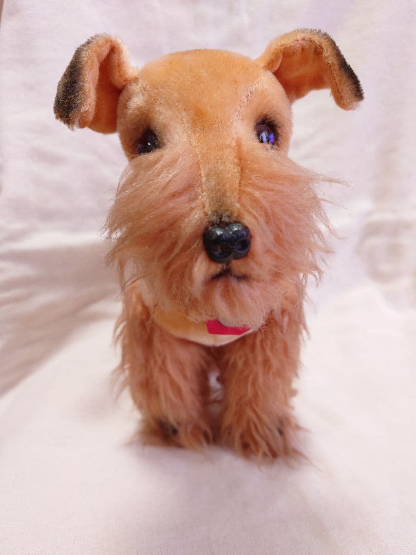 【希少品！】ふしぎ犬トントン★エアデールテリアぬいぐるみ