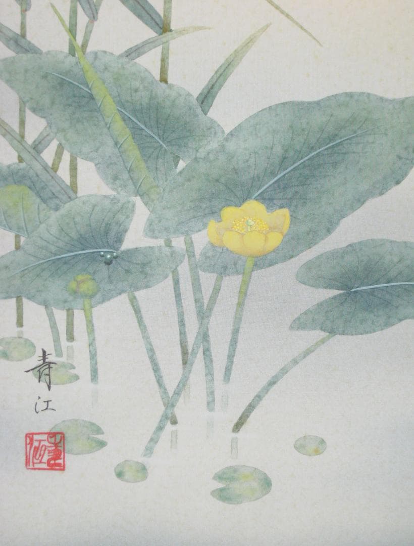 こ*り様 【真筆】掛け軸 掛軸 翡翠(かわせみ)◇柳沢寿江 太巻仕様・共