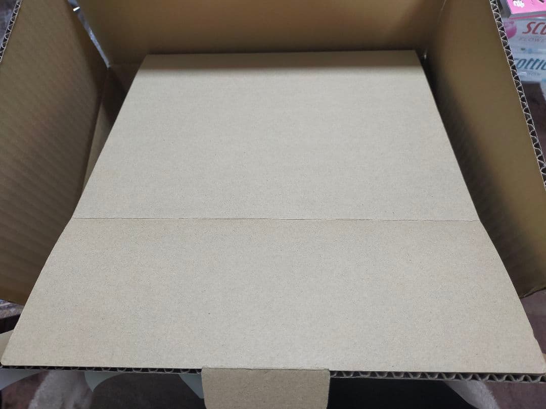 ニンテンドースイッチソフト オクトパストラベラーII 限定版