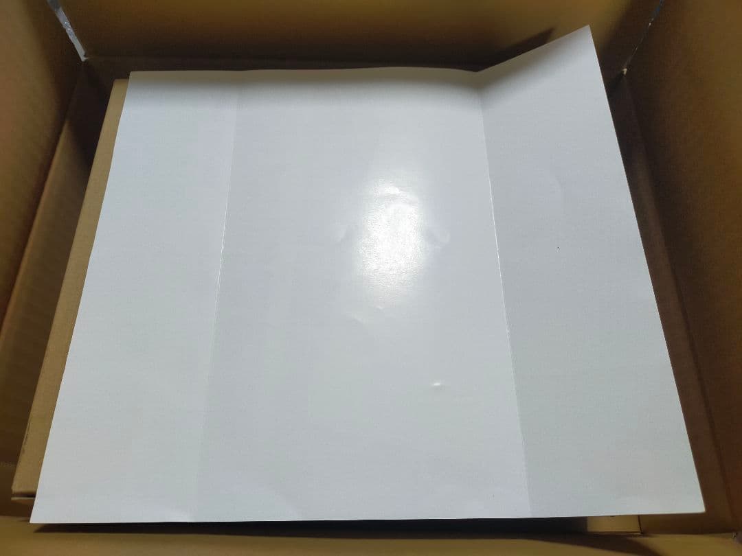 ニンテンドースイッチソフト オクトパストラベラーII 限定版